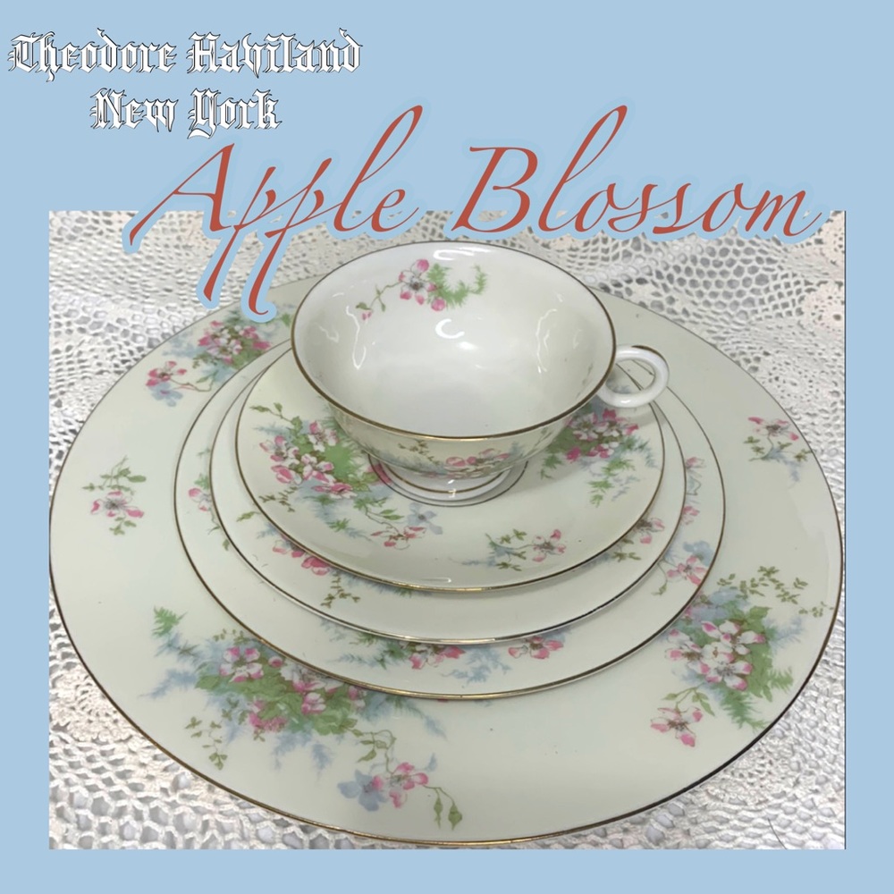 THEODORE HAVILAND Apple Blossom 5 Piece Setting